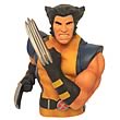 Wolverine Unmasked Bust Bank